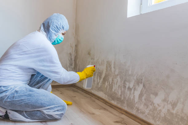 Licensed Mold Testing service in Norfolk, VA - WQB Mold Removal