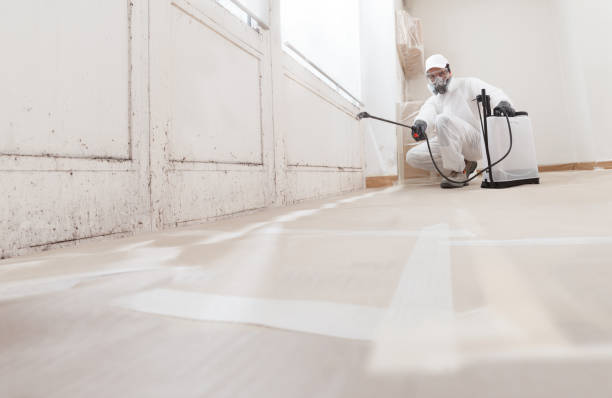 24/7 Emergency Mold Testing experts in Norfolk, VA