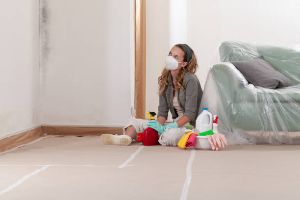 Reliable Mold Testing contractor in Norfolk, VA by WQB Mold Removal